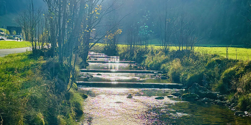 Impuls des Monats